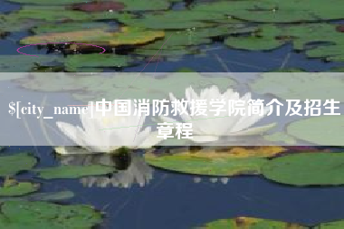 松滋中国消防救援学院简介及招生章程