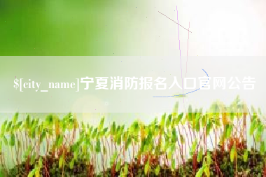 松滋宁夏消防报名入口官网公告