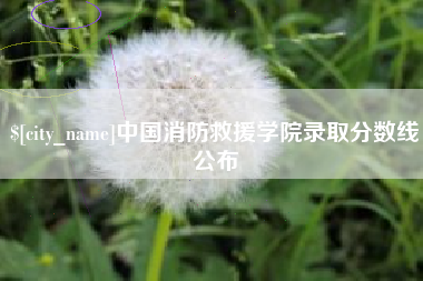 松滋中国消防救援学院录取分数线公布