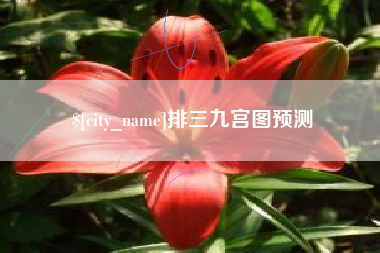 松滋排三九宫图预测