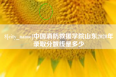 松滋中国消防救援学院山东2020年录取分数线是多少