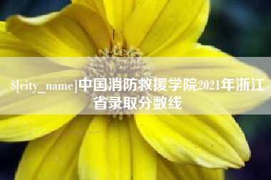 松滋中国消防救援学院2021年浙江省录取分数线