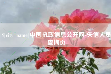 松滋中国执政信息公开网-失信人员查询页