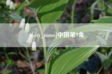 松滋中国第9金