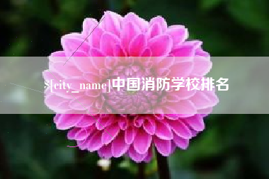 松滋中国消防学校排名