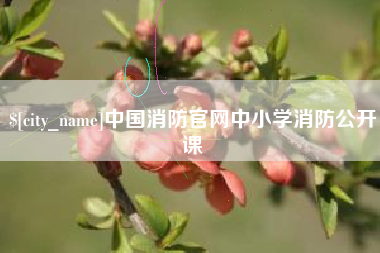 松滋中国消防官网中小学消防公开课