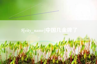 松滋中国几金牌了