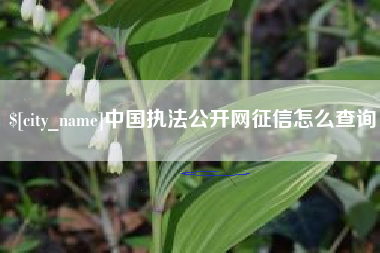 松滋中国执法公开网征信怎么查询