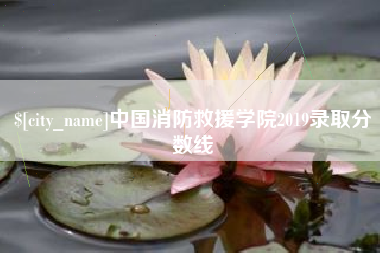 松滋中国消防救援学院2019录取分数线