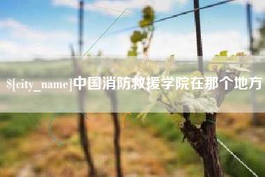 松滋中国消防救援学院在那个地方