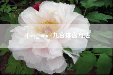 松滋九宫排盘方法