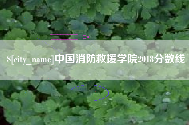 松滋中国消防救援学院2018分数线