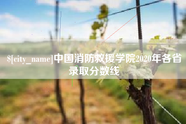 松滋中国消防救援学院2020年各省录取分数线