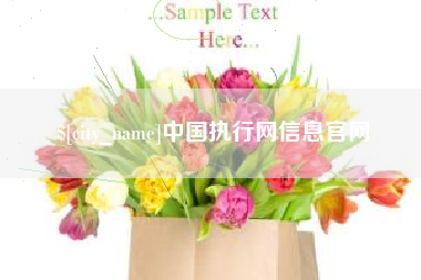 松滋中国执行网信息官网