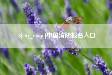 松滋中国消防报名入口