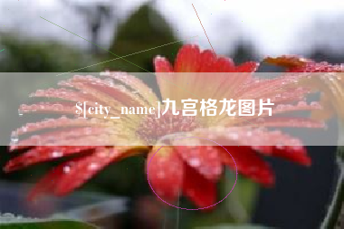松滋九宫格龙图片