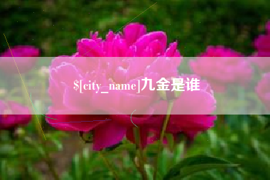 松滋九金是谁