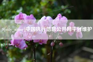 松滋中国执行信息公开网平台维护