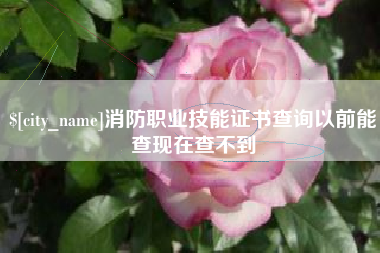 松滋消防职业技能证书查询以前能查现在查不到
