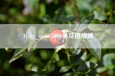 松滋5000米及格成绩
