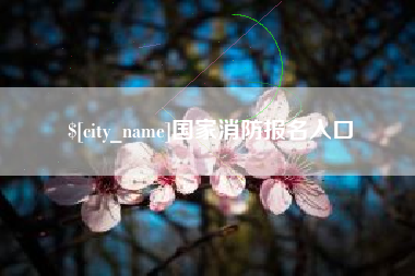 松滋国家消防报名入口