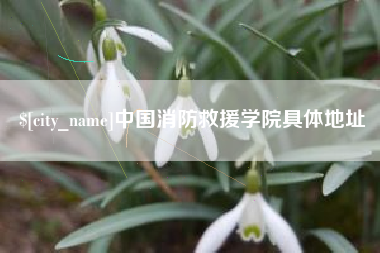 松滋中国消防救援学院具体地址