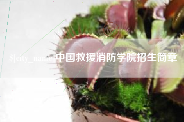 松滋中国救援消防学院招生简章