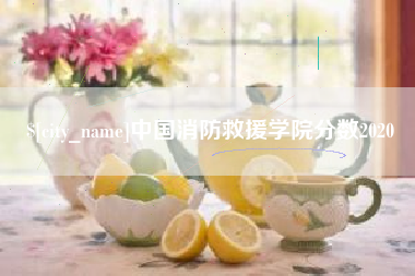 松滋中国消防救援学院分数2020