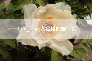 松滋九金指的是什么