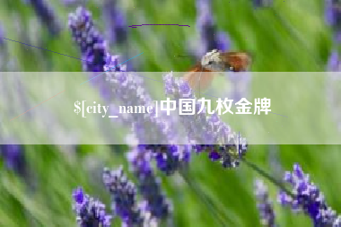 松滋中国九枚金牌