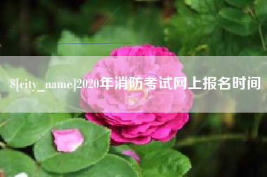 松滋2020年消防考试网上报名时间