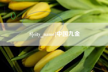 松滋中国九金
