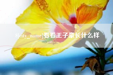 松滋看看王子豪长什么样