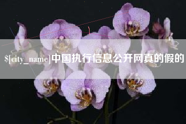 松滋中国执行信息公开网真的假的