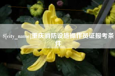 松滋重庆消防设施操作员证报考条件