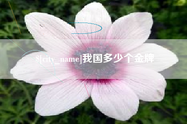 松滋我国多少个金牌