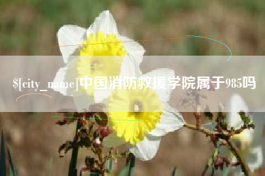松滋中国消防救援学院属于985吗