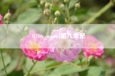 松滋第九金是