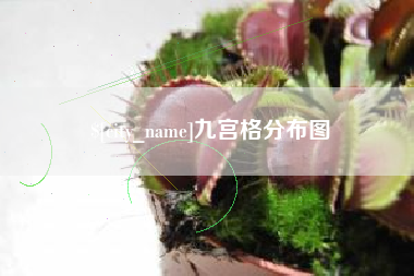 松滋九宫格分布图