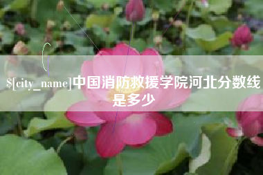 松滋中国消防救援学院河北分数线是多少
