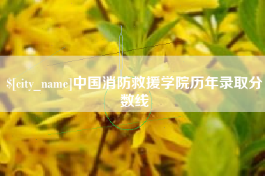 松滋中国消防救援学院历年录取分数线