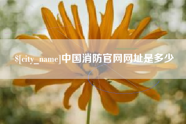 松滋中国消防官网网址是多少