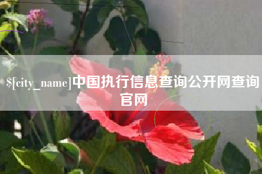 松滋中国执行信息查询公开网查询官网