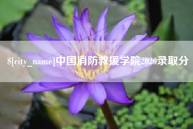 松滋中国消防救援学院2020录取分