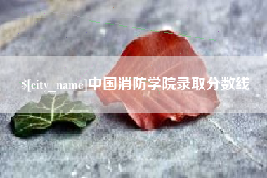 松滋中国消防学院录取分数线