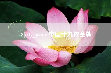 松滋中国十九枚金牌