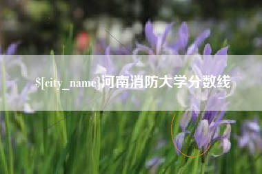松滋河南消防大学分数线