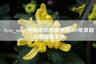 松滋中国消防救援学院2019年录取分数线是多少