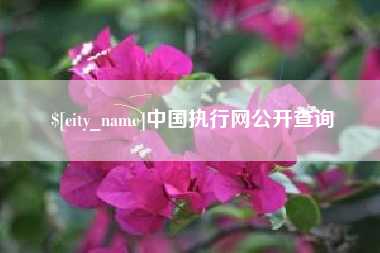 松滋中国执行网公开查询