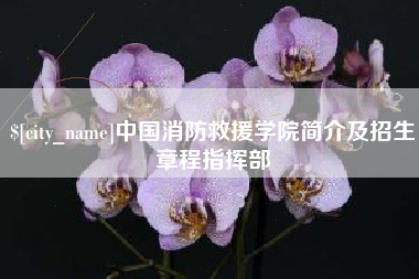 松滋中国消防救援学院简介及招生章程指挥部